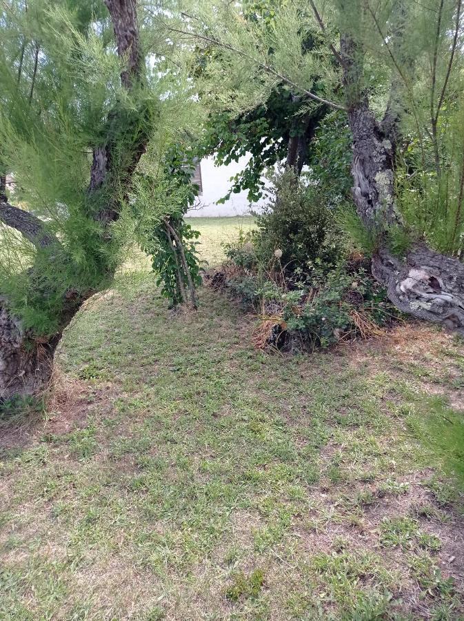 La Maison De Papou La Vigne A Nans Les Pins 83860 Exterior foto